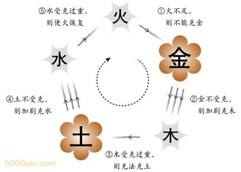 五行平衡|五行如何保持平衡？